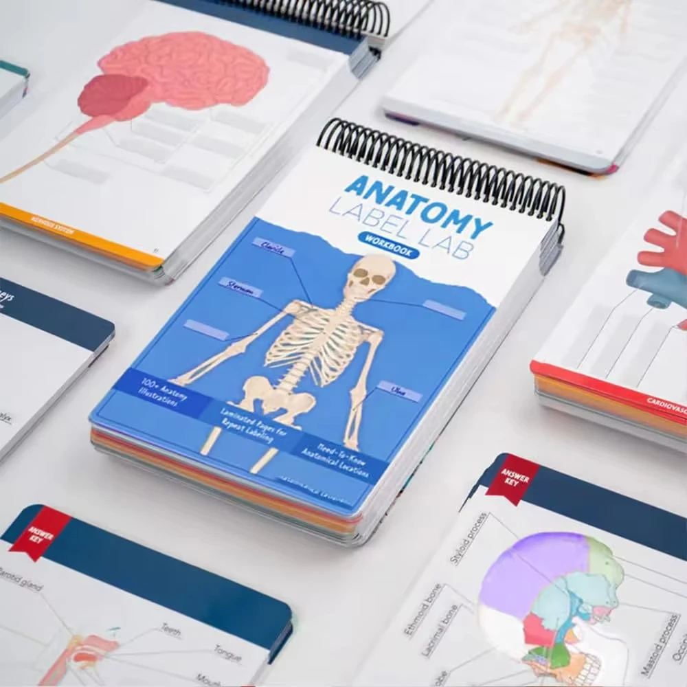 Anatomy Label Lab Workbook 100+ Interactive Anatomy Illustrations Dry-Erase Pages Notebook Gift for Medical Nursing Students
Anatomy Label Lab Workbook 100+ Interactive Anatomy Illustrations Dry-Erase Pages Notebook Gift for Medical Nursing Students