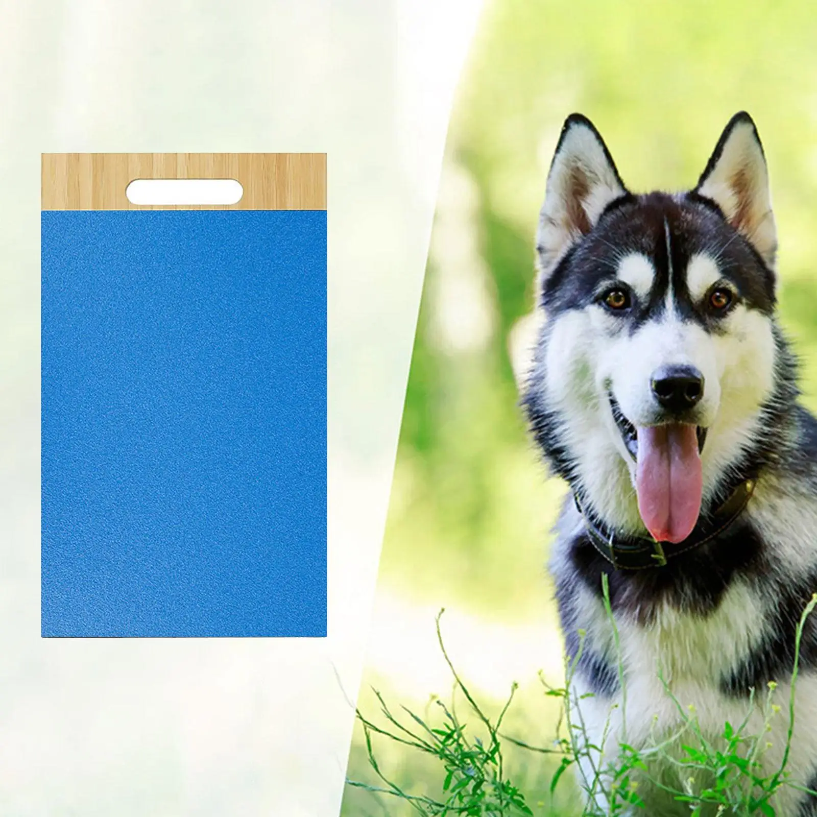 Dog Scratch Pad Pet Grooming Stretching Interactive Pet Toy Scratch Square 
Dog Scratch Pad Pet Grooming Stretching Interactive Pet Toy Scratch Square