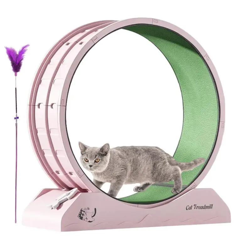 Cat Wheel Exerciser Small Kitten Fitness Tool Large Cat Wheel Exerciser For Indoors Safety Kitten Treadmill With Teaser 
Cat Wheel Exerciser Small Kitten Fitness Tool Large Cat Wheel Exerciser For Indoors Safety Kitten Treadmill With Teaser