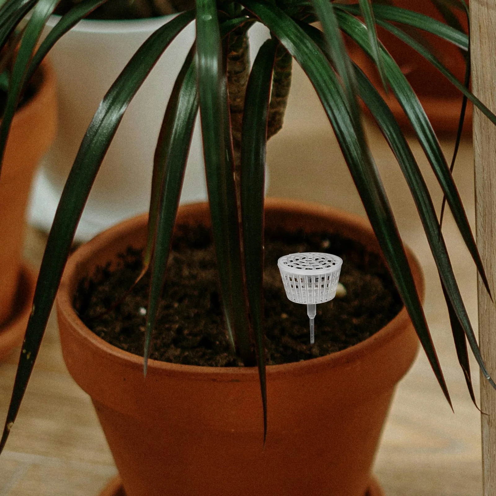 10Pcs Plastic Fertilizer Basket with Lid for Gardening Bonsai Orchid Spikes Fertilizer Storage Box Garden Accessory Manure
10Pcs Plastic Fertilizer Basket with Lid for Gardening Bonsai Orchid Spikes Fertilizer Storage Box Garden Accessory Manure