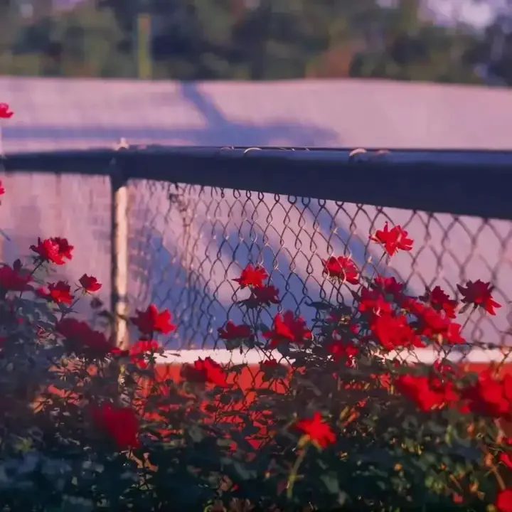 13.6 Inch LCD Car Radio For Chrysler 300C 2012-2019 Carplay GPS Navigation Android 13 Auto Multimedia Stereo Player Touch Screen
13.6 Inch LCD Car Radio For Chrysler 300C 2012-2019 Carplay GPS Navigation Android 13 Auto Multimedia Stereo Player Touch Screen