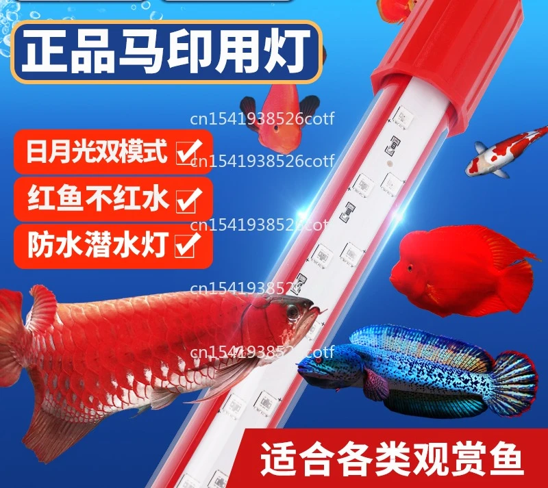Fish tank brightening light red universal diving three primary colors aquarium lighting
Fish tank brightening light red universal diving three primary colors aquarium lighting