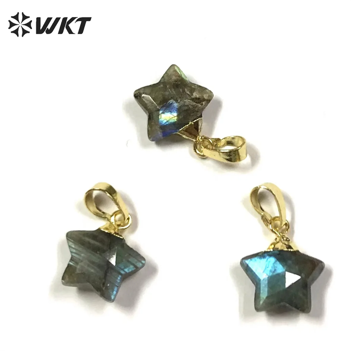 WT-P1794 WKT Natural Labradorite Pendant Small Star Shape Gold Plated Can Do Earrings Necklace Pendant Jewelry Accessories
WT-P1794 WKT Natural Labradorite Pendant Small Star Shape Gold Plated Can Do Earrings Necklace Pendant Jewelry Accessories