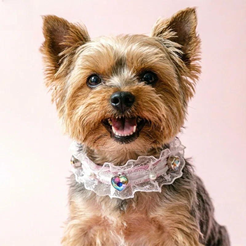 Lace Rhinestone Cat Dog Collar with Heart, Adjustable Bling Pet Necklace for Small Dogs Cats, Soft Cute Puppy Kitten Collar
Lace Rhinestone Cat Dog Collar with Heart, Adjustable Bling Pet Necklace for Small Dogs Cats, Soft Cute Puppy Kitten Collar