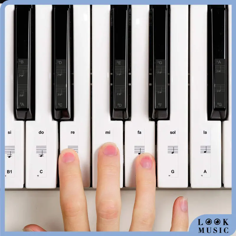 32/37/54/61/88 Key Piano Stickers PVC Transparent Piano Keyboard Piano Stave Electronic Keyboard Name Note Sticker Accessories
32/37/54/61/88 Key Piano Stickers PVC Transparent Piano Keyboard Piano Stave Electronic Keyboard Name Note Sticker Accessories