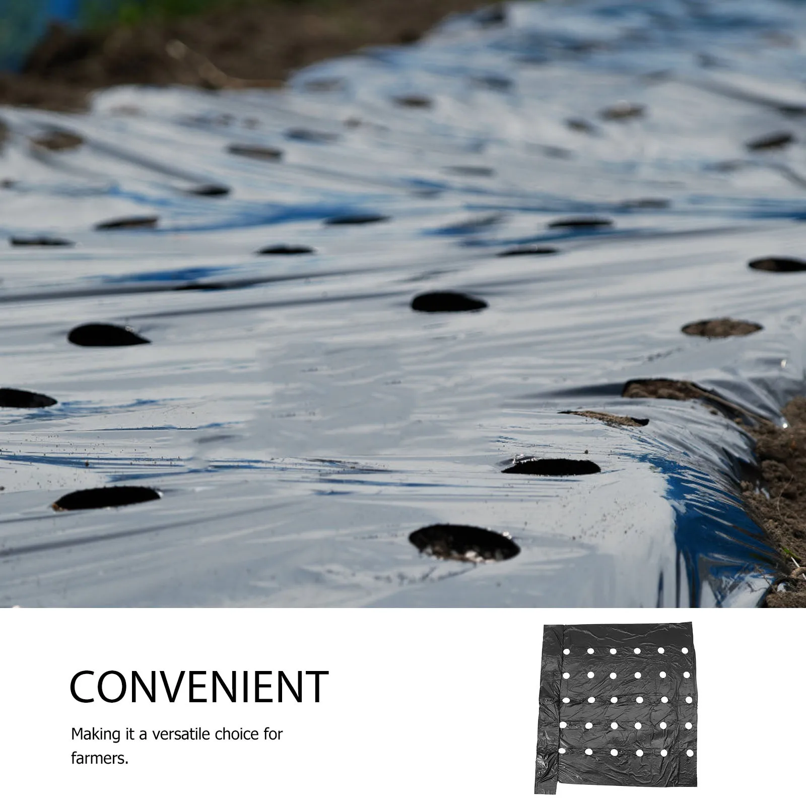 Pe Mulching Film Agricultural Thermal Insulation Perforated Design for Plant Crop Soil Covering Plastic Film Farm Soil Mulch 
Pe Mulching Film Agricultural Thermal Insulation Perforated Design for Plant Crop Soil Covering Plastic Film Farm Soil Mulch