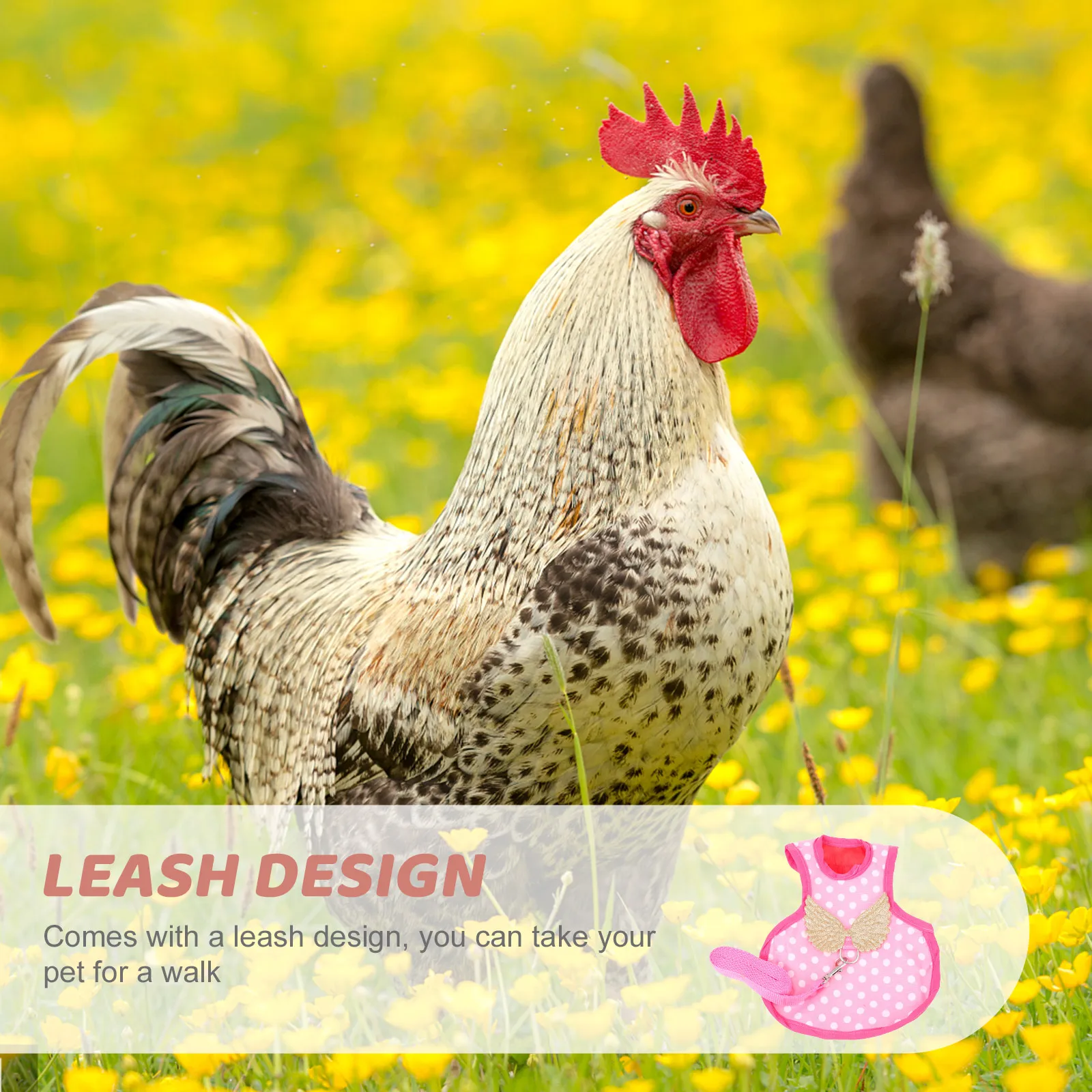 Duck Harness resistant Chicken Duck Harness Vest Portable Leash Adjustable Pet Hens Accessory Polyester Material
Duck Harness resistant Chicken Duck Harness Vest Portable Leash Adjustable Pet Hens Accessory Polyester Material