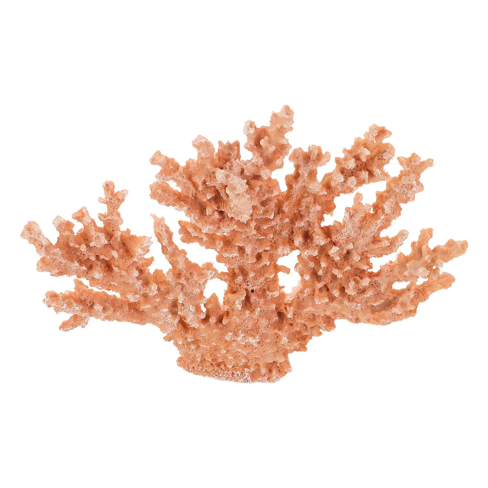 Resin Coral Decor Desktop nament Home Decorative Sculpture Figurine Room Bedroom Office Stylish CompactCoralDecor
Resin Coral Decor Desktop nament Home Decorative Sculpture Figurine Room Bedroom Office Stylish CompactCoralDecor
