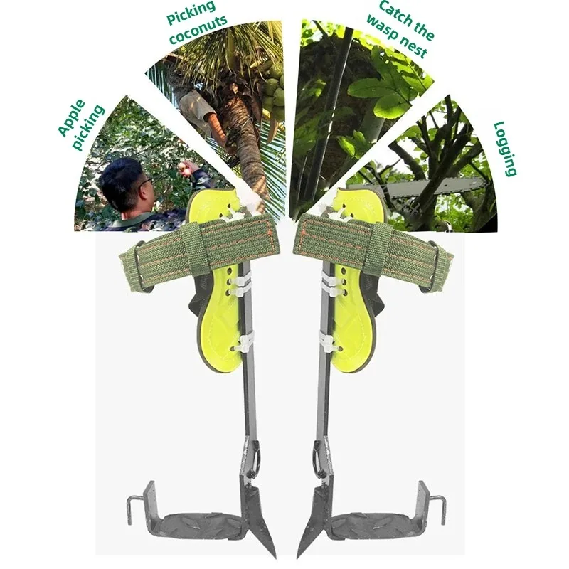 Инструменты для скалолазания по деревьям, профессиональный уличный альпинист для сбора фруктов, нескользящая обувь для скалолазания по деревьям, практичные садовые инструменты
Инструменты для скалолазания по деревьям, профессиональный уличный альпинист для сбора фруктов, нескользящая обувь для скалолазания по деревьям, практичные садовые инструменты