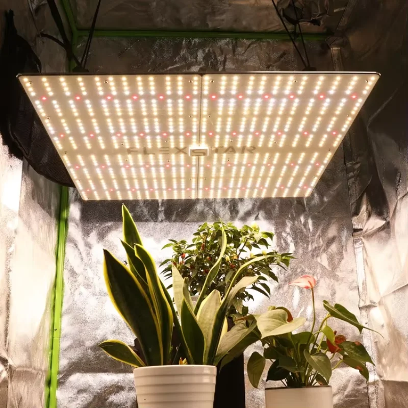 480W One Day Shipping Flexstar Samsung Official Partner Full Spectrum Smart Control Dimmable LED Grow Light for Tent 
480W One Day Shipping Flexstar Samsung Official Partner Full Spectrum Smart Control Dimmable LED Grow Light for Tent