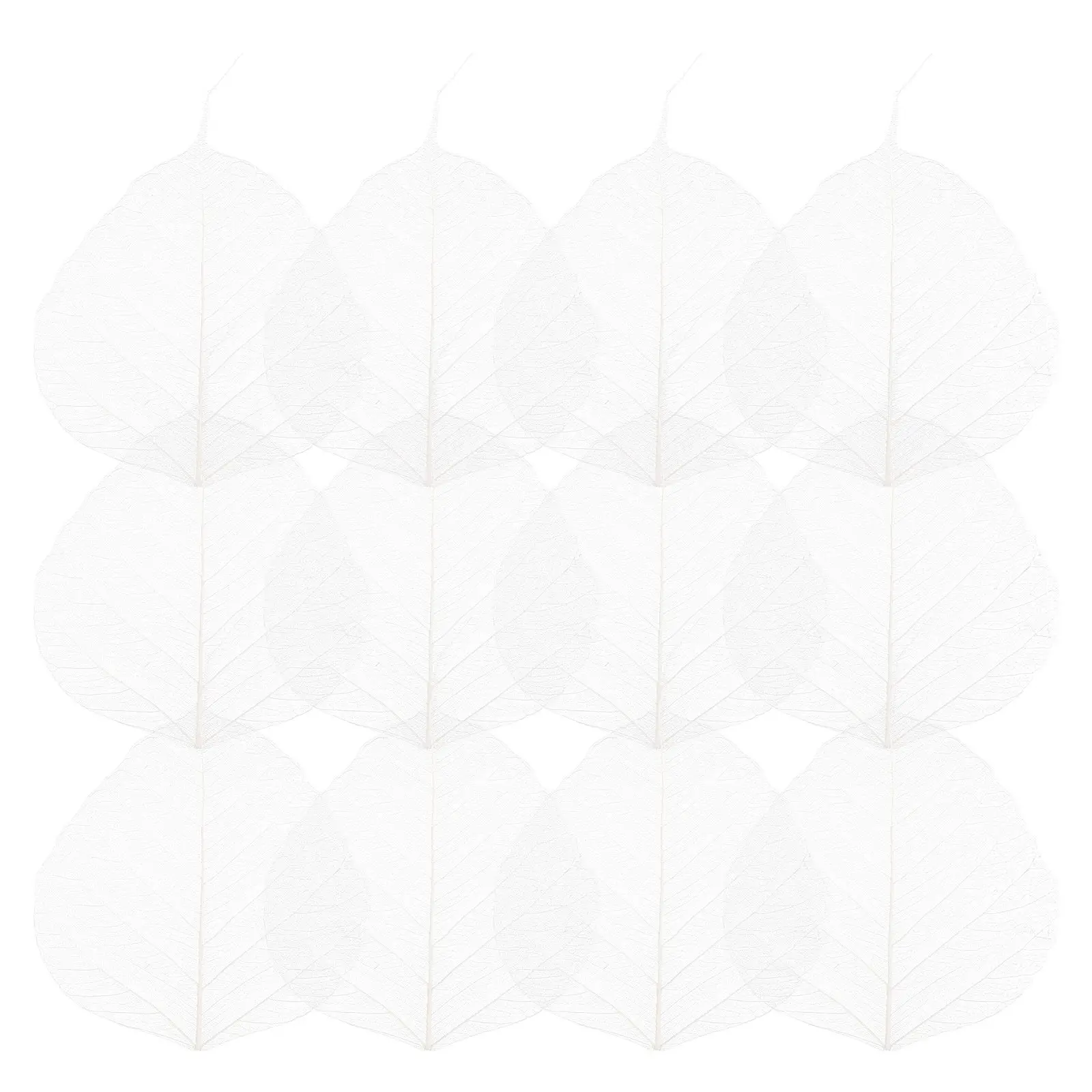 20 Pcs Leaf Vein Bookmark Materials Tree Leaves Specimen Dried Craft Project Natural Rubber Handmade DIY Supplies Photo
20 Pcs Leaf Vein Bookmark Materials Tree Leaves Specimen Dried Craft Project Natural Rubber Handmade DIY Supplies Photo