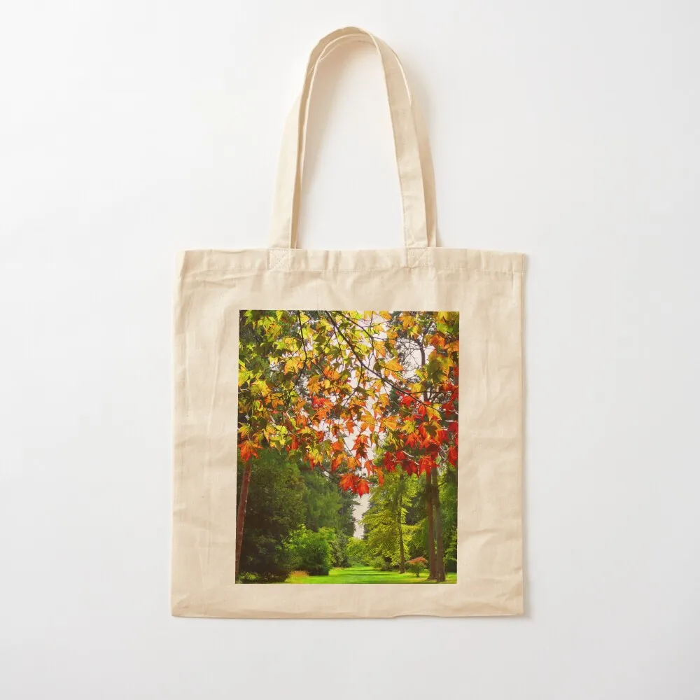 Autumn Acer Tree Westonbirt Arboretum Cotswolds Gloucestershire Tote Bag tote bag university woman shopping bag Canvas Tote
Autumn Acer Tree Westonbirt Arboretum Cotswolds Gloucestershire Tote Bag tote bag university woman shopping bag Canvas Tote