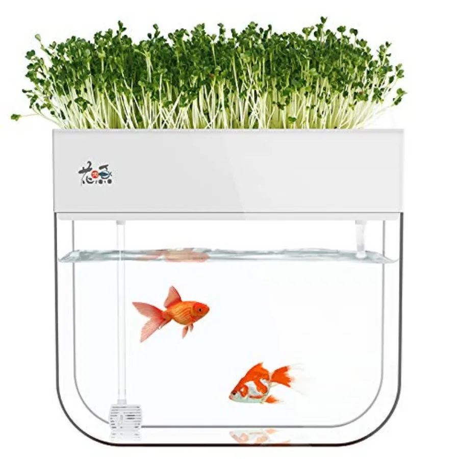 Hydroponic Garden Aquaponic Fish Tank Plants Growing System Self-Cleaning Seed Sprouter Tray
Hydroponic Garden Aquaponic Fish Tank Plants Growing System Self-Cleaning Seed Sprouter Tray
