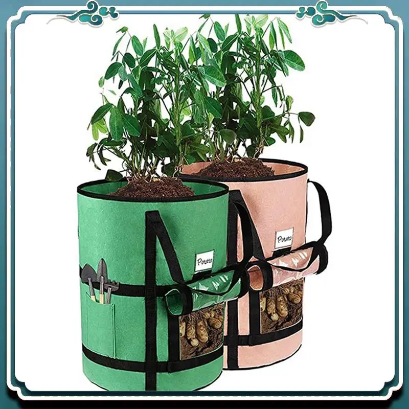 3 Piece 10 Gallon Grow Bags With Window To Harvest Tomato Vegetables Grow Bags With Flap And Handles
3 Piece 10 Gallon Grow Bags With Window To Harvest Tomato Vegetables Grow Bags With Flap And Handles