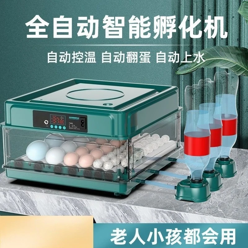 New automatic small household chicken egg incubator incubator
New automatic small household chicken egg incubator incubator