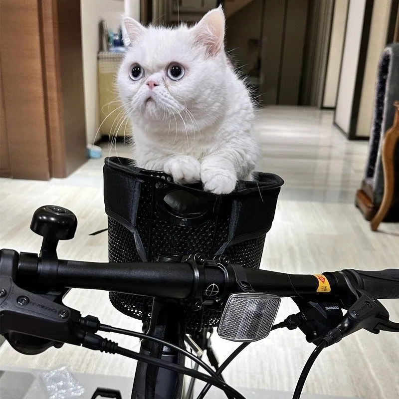 Wholesale Dog Bike Basket Foldable Pet Bicycle Carrier Removable Dog Seat for Mountain Road Bike Small Puppy Cat Carrier Basket
Wholesale Dog Bike Basket Foldable Pet Bicycle Carrier Removable Dog Seat for Mountain Road Bike Small Puppy Cat Carrier Basket