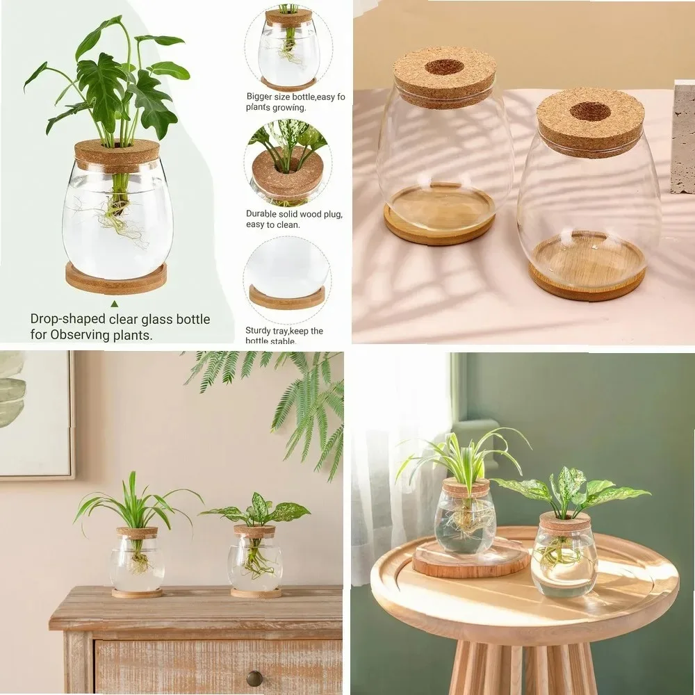 Glass Vases with Wood Stand Flower Pot Plant Container Desktop Glass Planter For Indoor Live Hydroponics Plants
Glass Vases with Wood Stand Flower Pot Plant Container Desktop Glass Planter For Indoor Live Hydroponics Plants