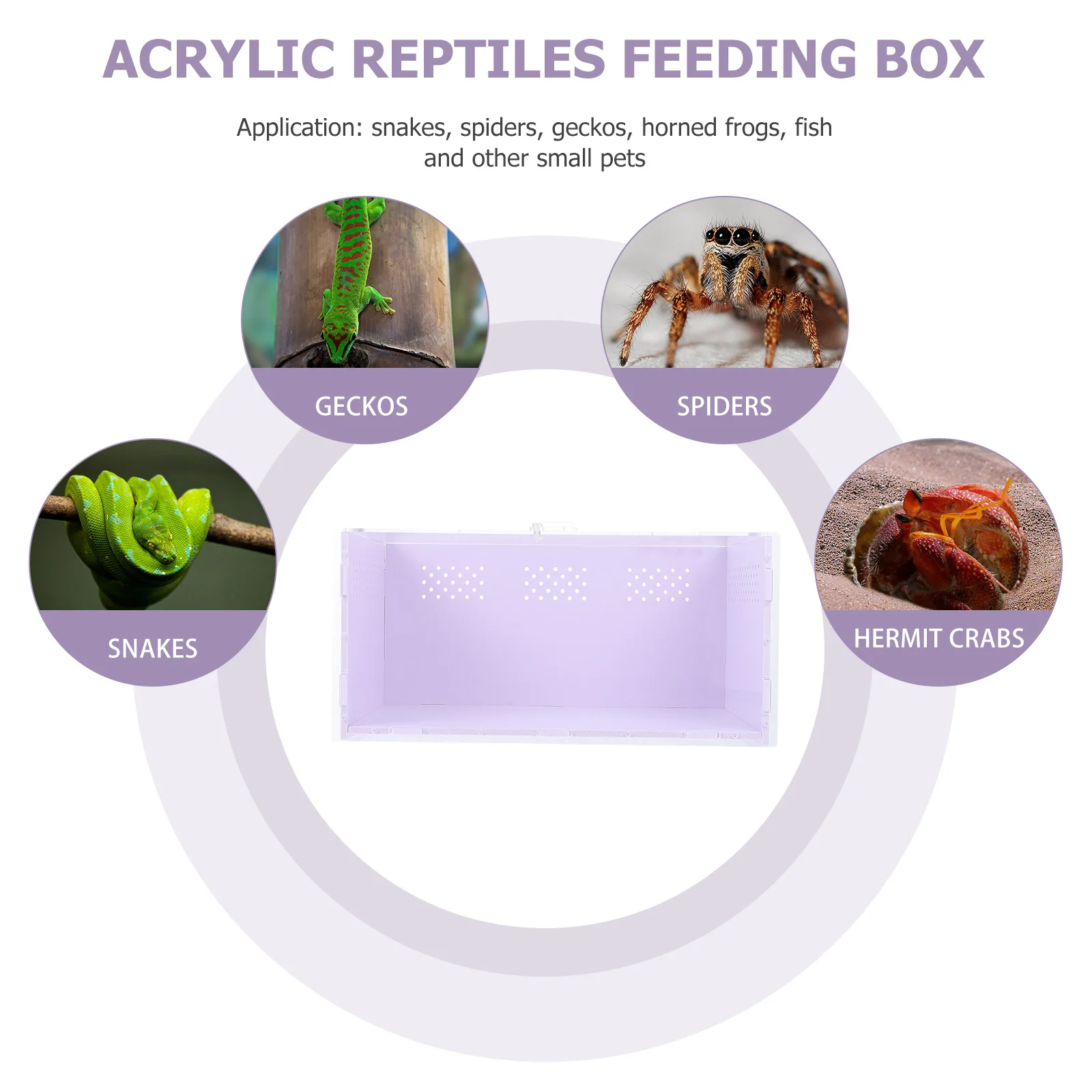 Transparent Acrylic Pet Breeding Box Reptiles Feeding Container with Ventilation Holes for Spiders Insects
Transparent Acrylic Pet Breeding Box Reptiles Feeding Container with Ventilation Holes for Spiders Insects