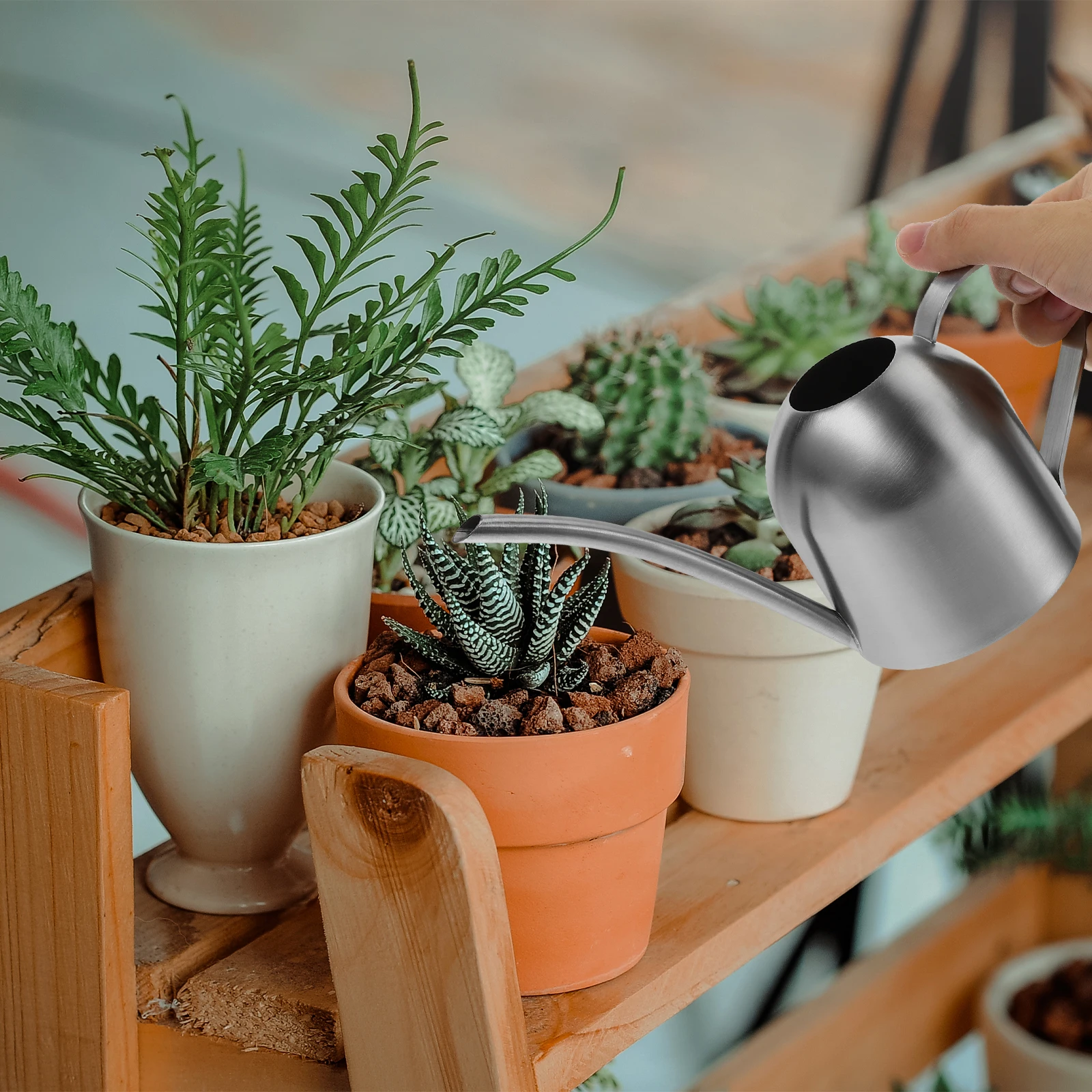 Stainless Steel Watering Can Long Mouth Corrosion Resistant for Plants Succulents Gardening Tool Small Metal
Stainless Steel Watering Can Long Mouth Corrosion Resistant for Plants Succulents Gardening Tool Small Metal