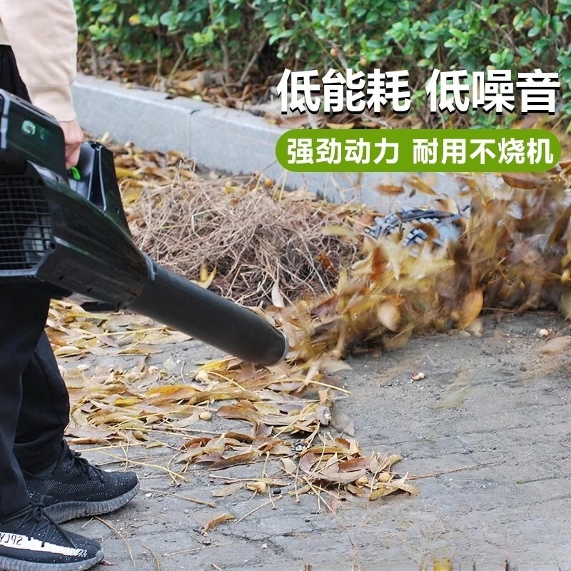 Lithium battery hair dryer high power snow blower portable leaf blower
Lithium battery hair dryer high power snow blower portable leaf blower