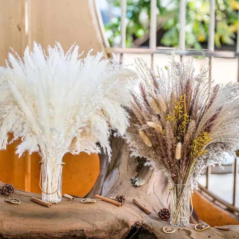 80-120pcs Pampas Grass Phragmites Reed Dried Natural Flowers Bouquet Arrangement Wedding Party Decor Christmas Decorations
80-120pcs Pampas Grass Phragmites Reed Dried Natural Flowers Bouquet Arrangement Wedding Party Decor Christmas Decorations