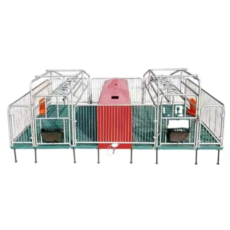 Customized Double-unit Sow Farrowing Crate and Piglet Nursery Crate with Slatted Floor
Customized Double-unit Sow Farrowing Crate and Piglet Nursery Crate with Slatted Floor