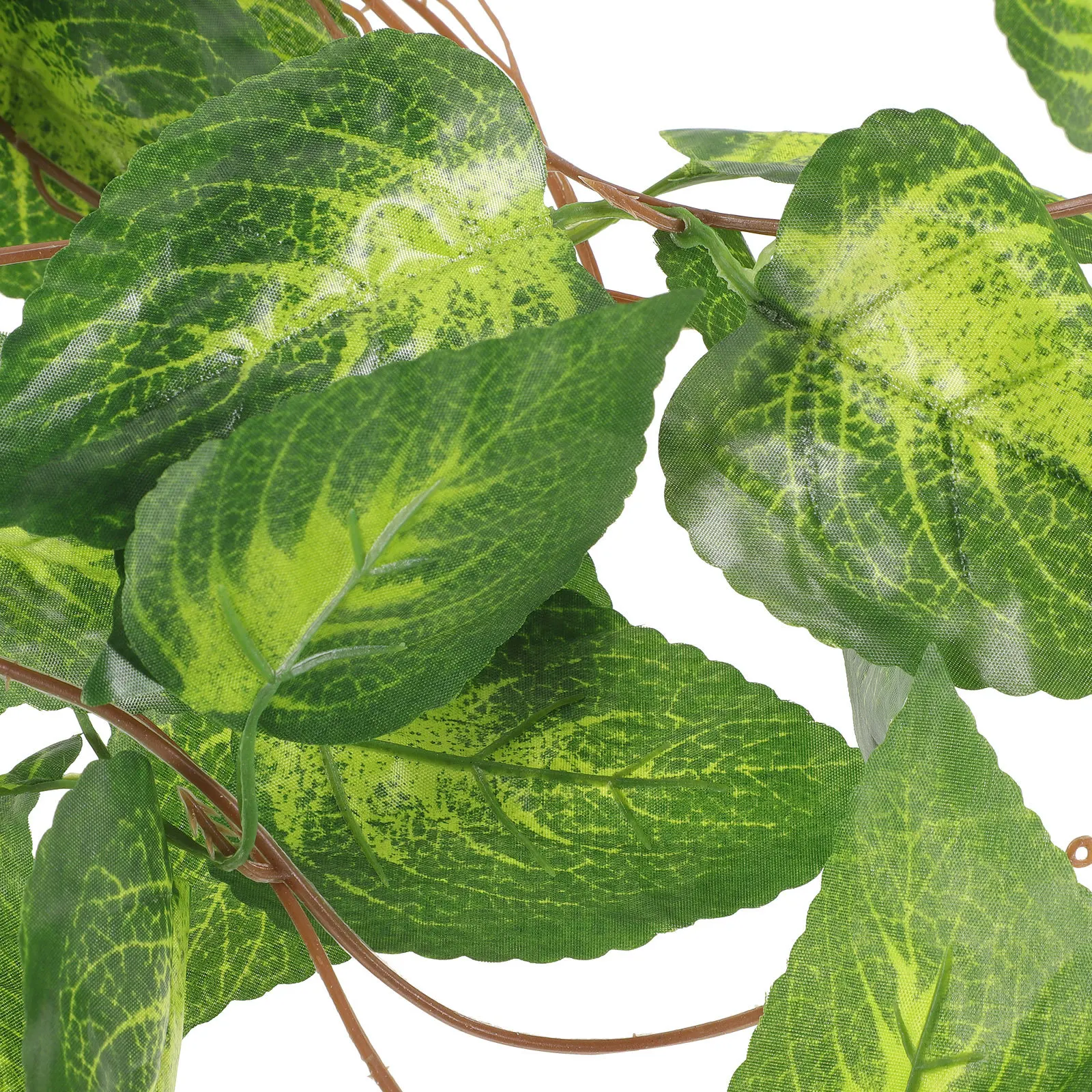 Reptile Terrarium Plants Artificial Plant Decor For Aquarium Turtle Tank Reptile Supplies Fake Plant Ornament Terrarium
Reptile Terrarium Plants Artificial Plant Decor For Aquarium Turtle Tank Reptile Supplies Fake Plant Ornament Terrarium