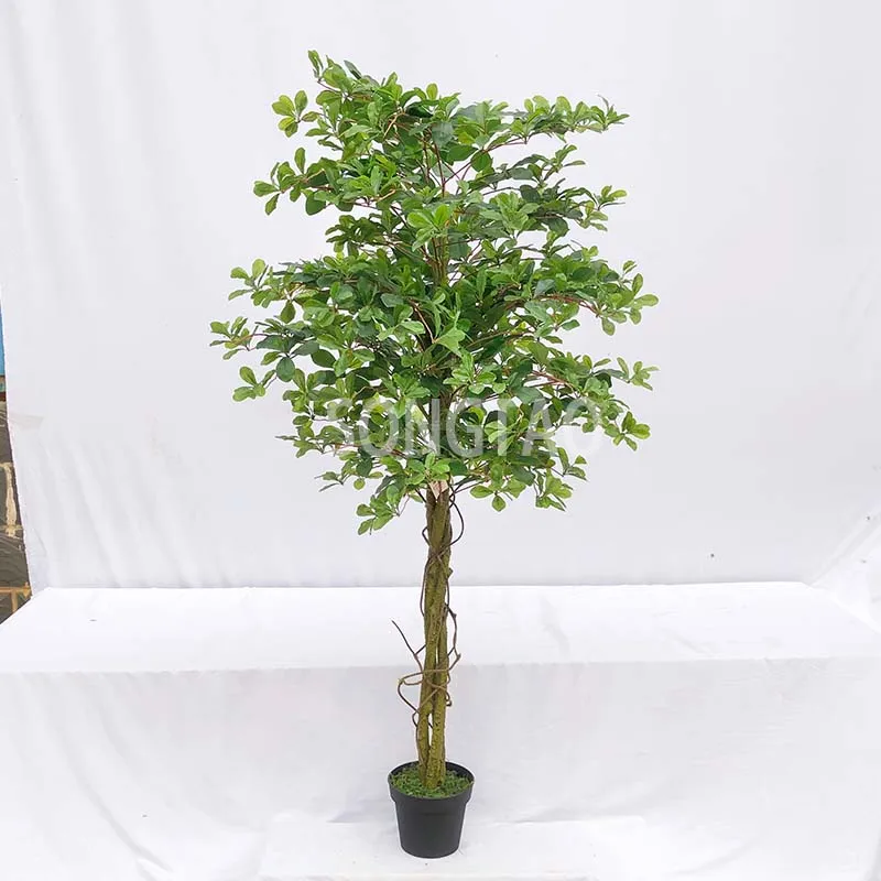 custom.Hot sell Customized Artificial Bonsai Tree Home Decorations Simulation Tree Artificial Tree
custom.Hot sell Customized Artificial Bonsai Tree Home Decorations Simulation Tree Artificial Tree