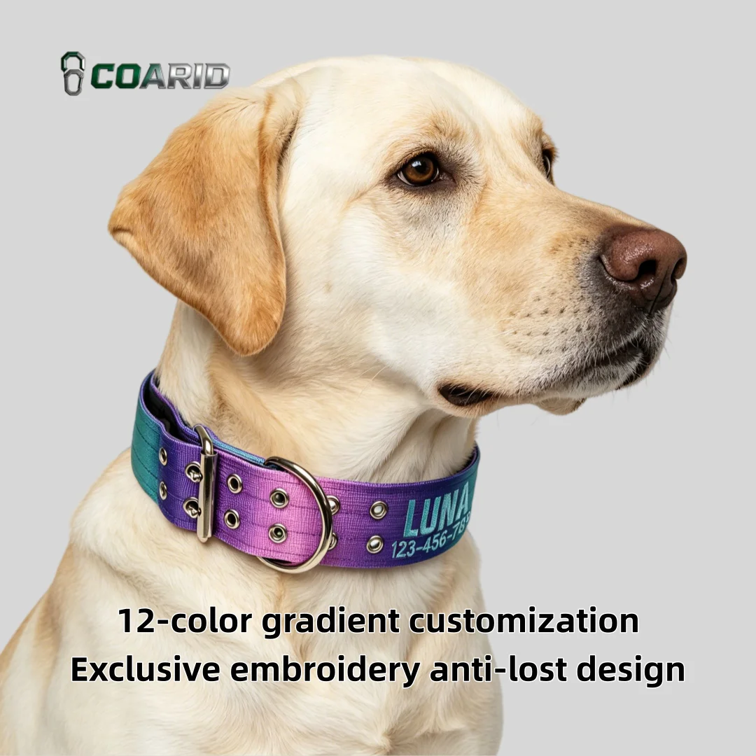 Custom Dog Collar 12 Colors Gradient Embroidered, Name ID Heavy Duty Knitted, Adjustable No Pull Pet Collar Medium Large
Custom Dog Collar 12 Colors Gradient Embroidered, Name ID Heavy Duty Knitted, Adjustable No Pull Pet Collar Medium Large