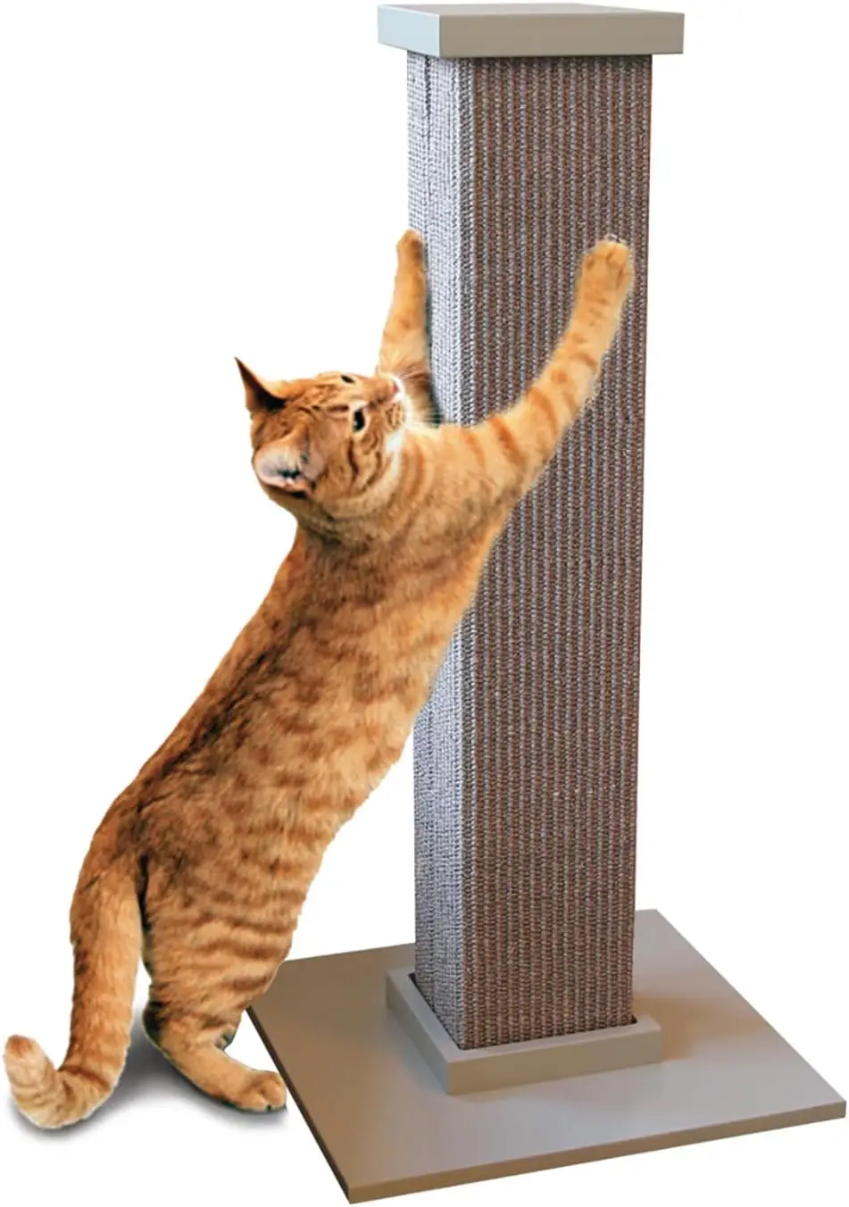 Ultimate Scratching Post – Gray, Large 32 Inch Tower - Sisal Fiber, Simple Design - For All Cats
Ultimate Scratching Post – Gray, Large 32 Inch Tower - Sisal Fiber, Simple Design - For All Cats