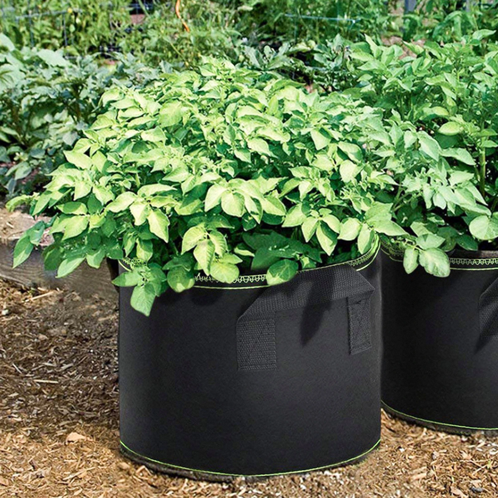 Plant Grow Bags Non-woven Durable Planting Bucket Seedling Bag Garden Flower Vegetables Pouches Nursery Drainage Water
Plant Grow Bags Non-woven Durable Planting Bucket Seedling Bag Garden Flower Vegetables Pouches Nursery Drainage Water
