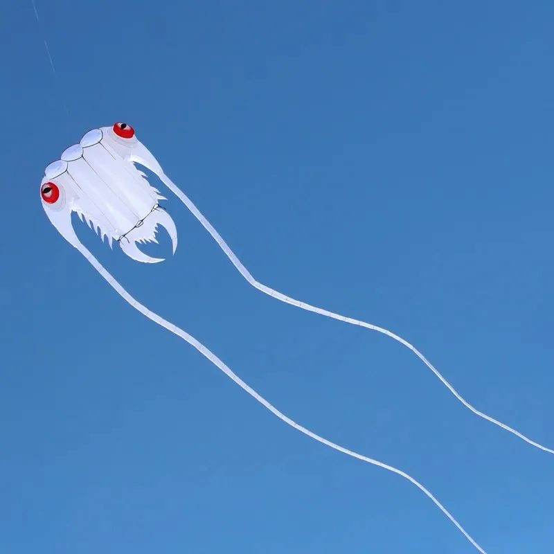 free shipping large soft kite fly white trilobites kite windsock outdoor sport professional kite toy sports nylon kite papalotes
free shipping large soft kite fly white trilobites kite windsock outdoor sport professional kite toy sports nylon kite papalotes