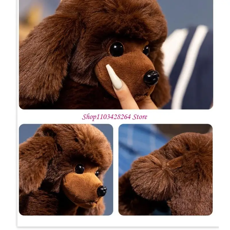 Успокаивающая мягкая игрушка для щенка пуделя, большая обнимающая игрушка в виде животного, милый щенок, мягкие игрушки, мягкая
Успокаивающая мягкая игрушка для щенка пуделя, большая обнимающая игрушка в виде животного, милый щенок, мягкие игрушки, мягкая