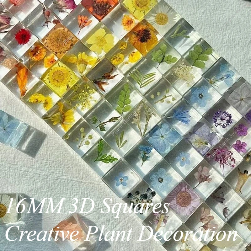 2025 5/10/20Pcs Handmade Desk Decoration DIY Eternal Flower Creative Plant 3D Specimen Squares Gift Ornament Randomly 16MM
2025 5/10/20Pcs Handmade Desk Decoration DIY Eternal Flower Creative Plant 3D Specimen Squares Gift Ornament Randomly 16MM
