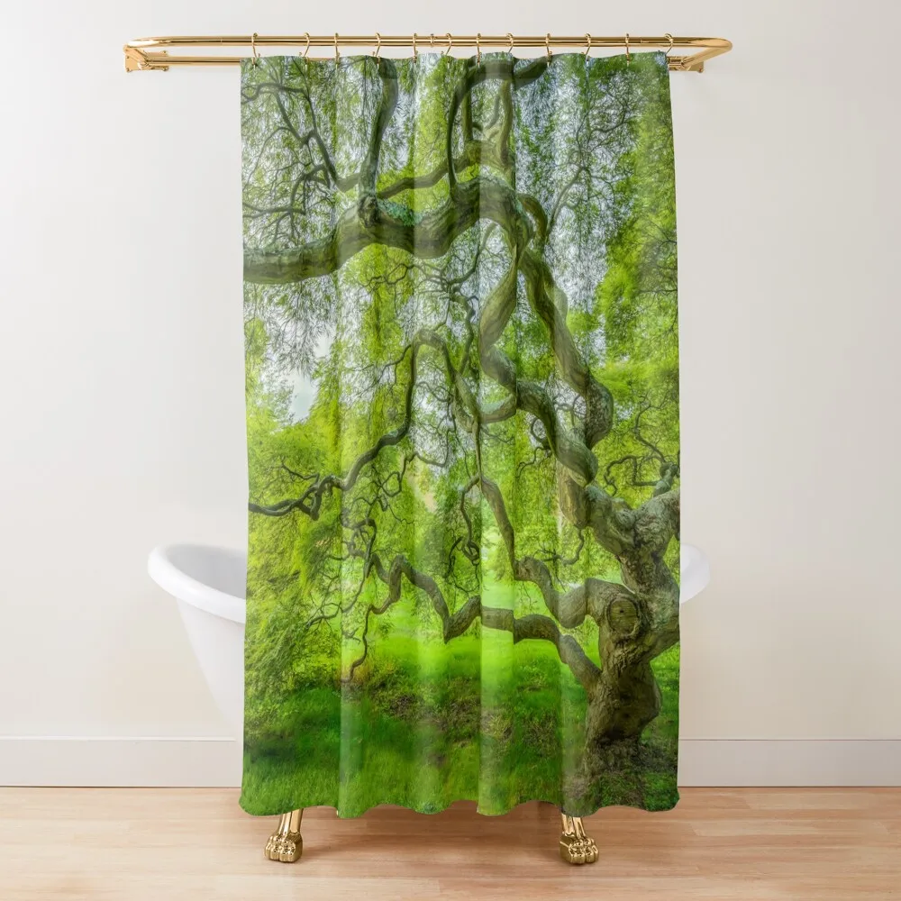 Japanese Maple Tree Shower Curtain Bathroom Accessorys In The Bathroom Luxury Bathroom Accessories Curtain
Japanese Maple Tree Shower Curtain Bathroom Accessorys In The Bathroom Luxury Bathroom Accessories Curtain