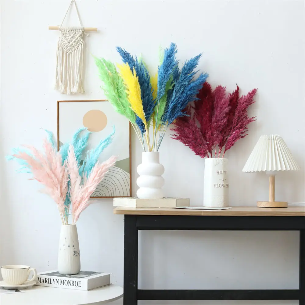 80Pcs Natural Dried Pampas Grass Plume Decor Fluffy Reed Wedding Flower For Home Kitchen Room Decoration Dekoration Home Craft
80Pcs Natural Dried Pampas Grass Plume Decor Fluffy Reed Wedding Flower For Home Kitchen Room Decoration Dekoration Home Craft
