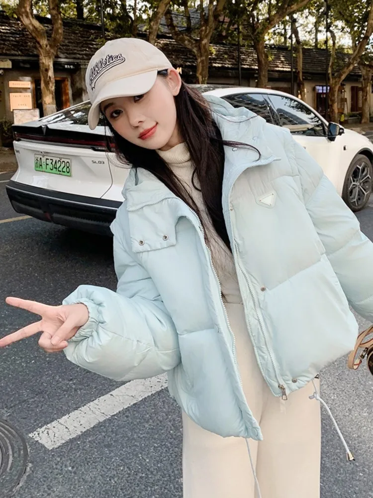 Autumn Korean Office Lady Women's Cotton Coat Winter Zipper Thickened Hooded Short Coats Fashion Casual Basic New Female Clothes
Autumn Korean Office Lady Women's Cotton Coat Winter Zipper Thickened Hooded Short Coats Fashion Casual Basic New Female Clothes