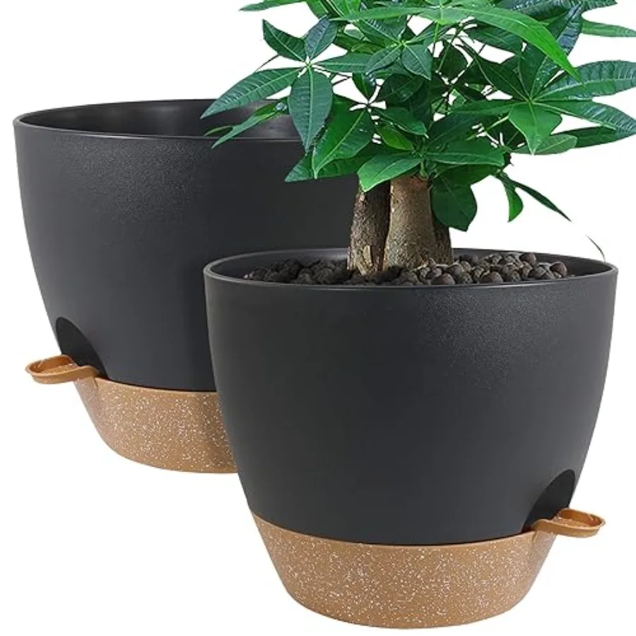 12inch 2Pack Large Self Watering Planters, Plastic Plant Pots with 60oZ Removable Deep Reservoir and Multi Mesh Drainage Holes
12inch 2Pack Large Self Watering Planters, Plastic Plant Pots with 60oZ Removable Deep Reservoir and Multi Mesh Drainage Holes