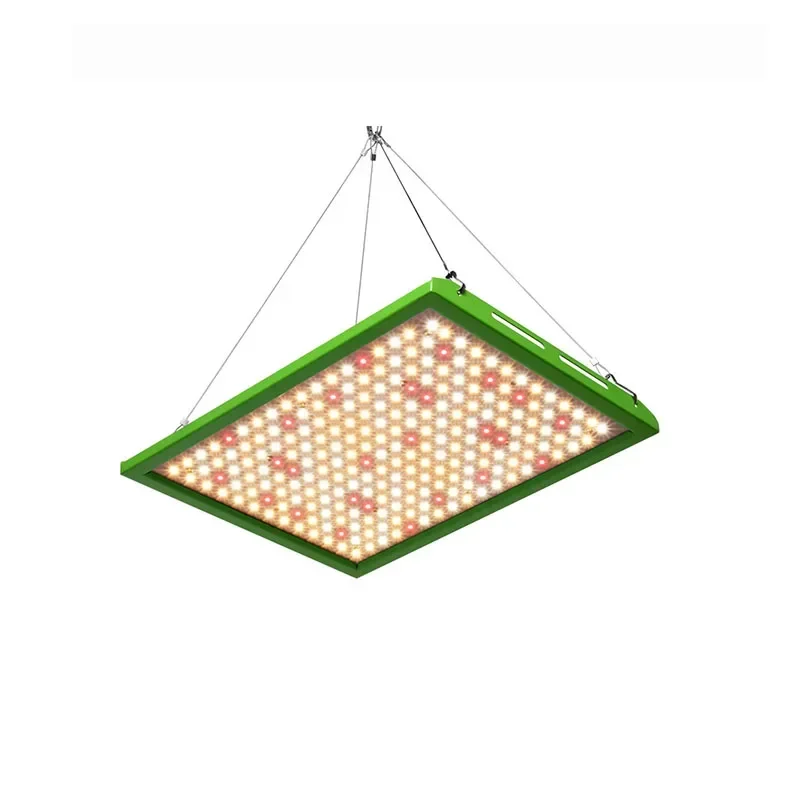 A- For TB 1000W Quantum Board LED Grow Light Can Be Spliced for Indoor Hydroponics Growing Vegetables
A- For TB 1000W Quantum Board LED Grow Light Can Be Spliced for Indoor Hydroponics Growing Vegetables