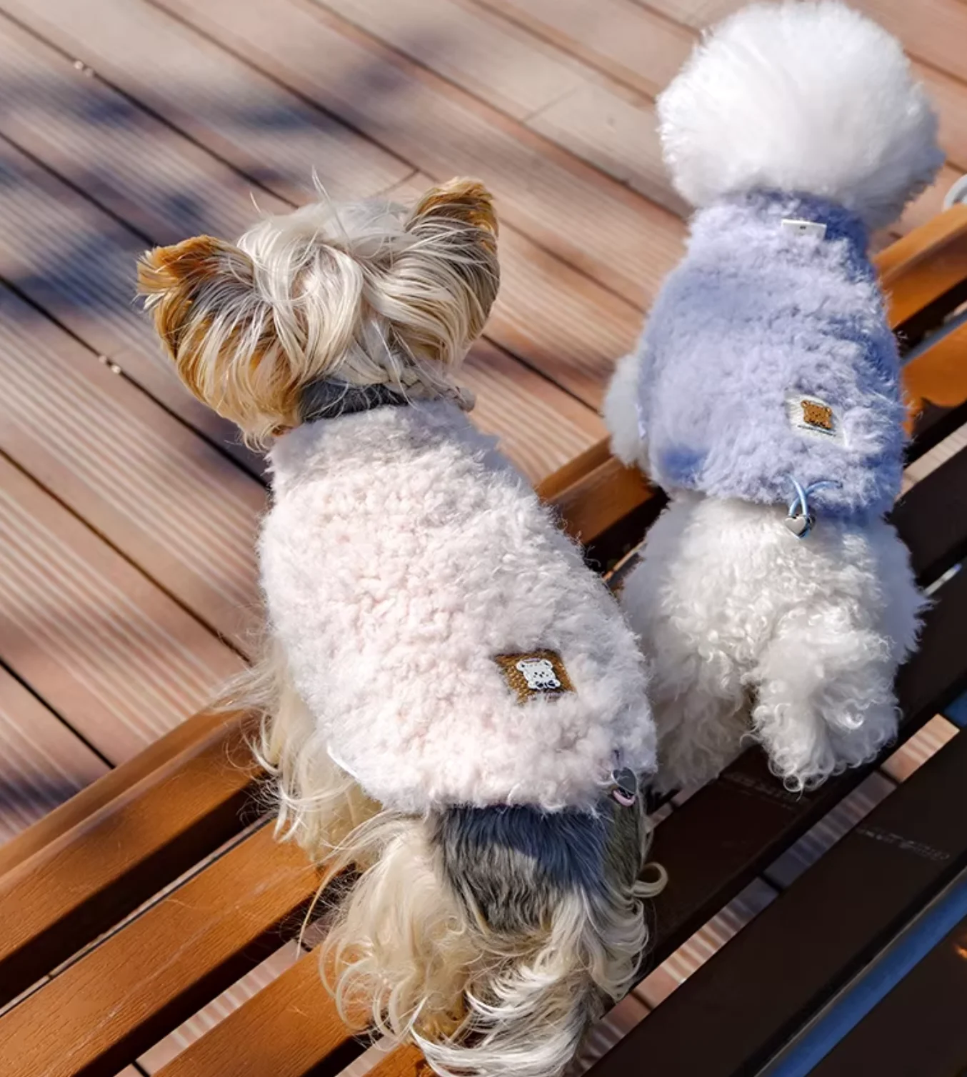 Double-Sided Sleeveless Plush Dog Vest, Cartoon Winter Coat for Schnauzer/Teddy/Bichon
Double-Sided Sleeveless Plush Dog Vest, Cartoon Winter Coat for Schnauzer/Teddy/Bichon