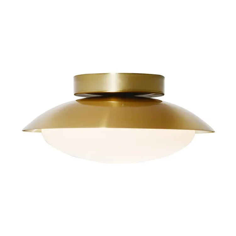 Circular 25cm gold ceiling light modern corridor study ceiling lamp for home bedroom living room furniture decoration lighting
Circular 25cm gold ceiling light modern corridor study ceiling lamp for home bedroom living room furniture decoration lighting