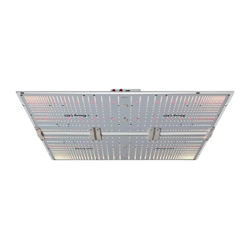 660W Grow Light Quantum Plate Full Spectrum Dimmable Spectrum Lm301h FR730 for Grow Tent Planting
660W Grow Light Quantum Plate Full Spectrum Dimmable Spectrum Lm301h FR730 for Grow Tent Planting