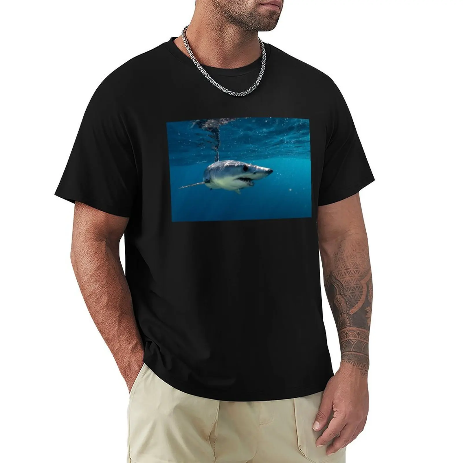 Mako Shark, zippin' around Cabo T-Shirt Large Size Breathable Tee
Mako Shark, zippin' around Cabo T-Shirt Large Size Breathable Tee