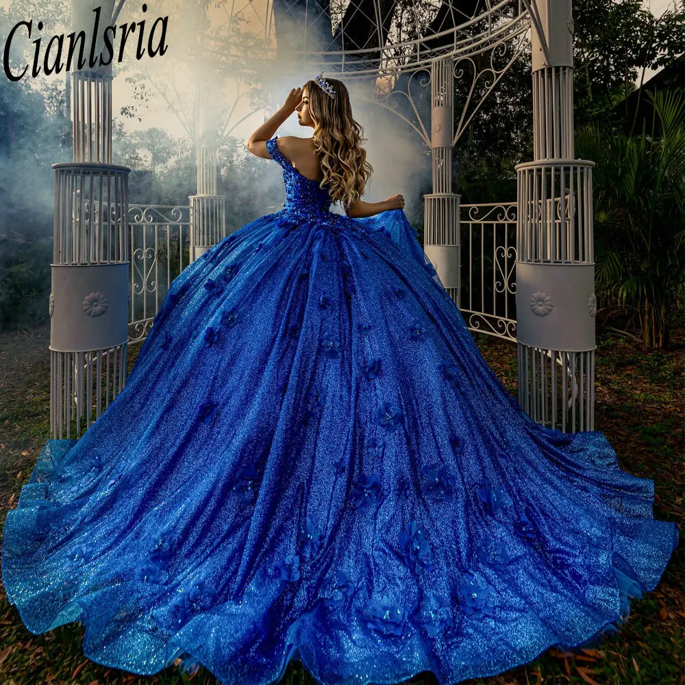 Blue Off The Shoulder 3D Flowers Quinceanera Dresses Ball Gown Glitter Crystal Beading Sweet 15 Birthday Party
Blue Off The Shoulder 3D Flowers Quinceanera Dresses Ball Gown Glitter Crystal Beading Sweet 15 Birthday Party