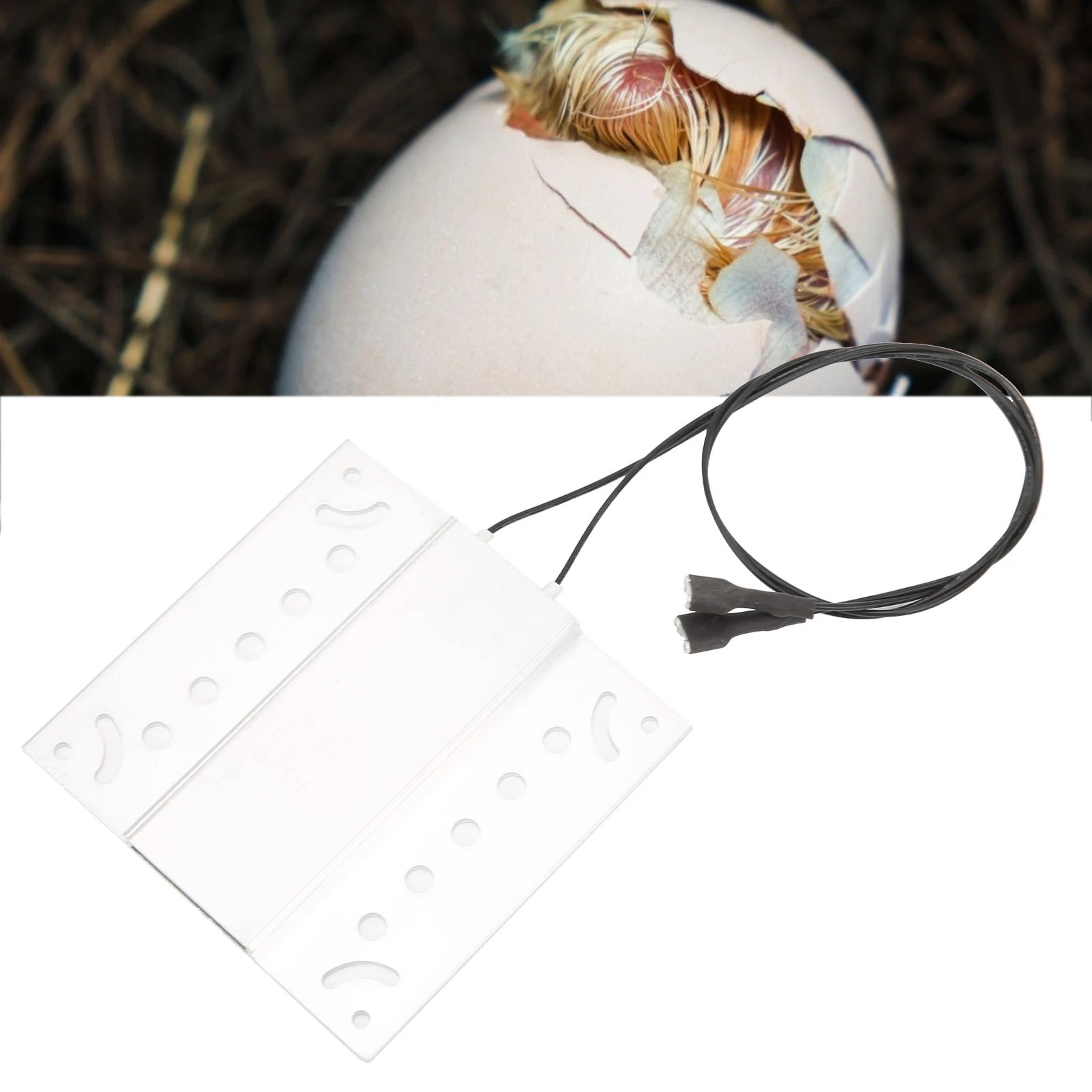 Aluminum Heating Aluminum Heating Heater Plate Heating Accessories for Incubator 220V DIY Heater Plate
Aluminum Heating Aluminum Heating Heater Plate Heating Accessories for Incubator 220V DIY Heater Plate