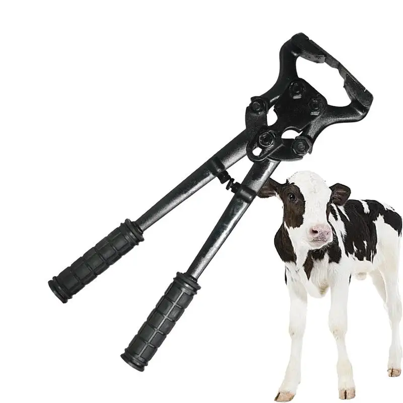 Sheep ShearsHoof Trimming Shears for Sheep Goat Hoof Trimmers Multi-Purpose Multifunction Sheep Hoof Trimmers Goat Hoof Trimmer
Sheep ShearsHoof Trimming Shears for Sheep Goat Hoof Trimmers Multi-Purpose Multifunction Sheep Hoof Trimmers Goat Hoof Trimmer