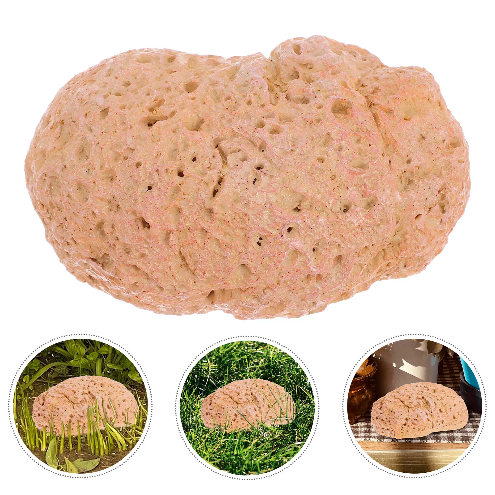 Garden Key Hider Outdoor Fake Rock Key Holder Hidden for Outside Safe Secret Storage Decorative Stone Box Hiders Outside
Garden Key Hider Outdoor Fake Rock Key Holder Hidden for Outside Safe Secret Storage Decorative Stone Box Hiders Outside