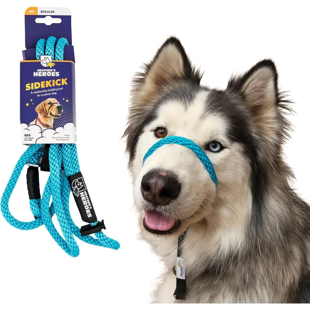 The Sidekick, Reg 3/8" Col: Turquoise
The Sidekick, Reg 3/8" Col: Turquoise