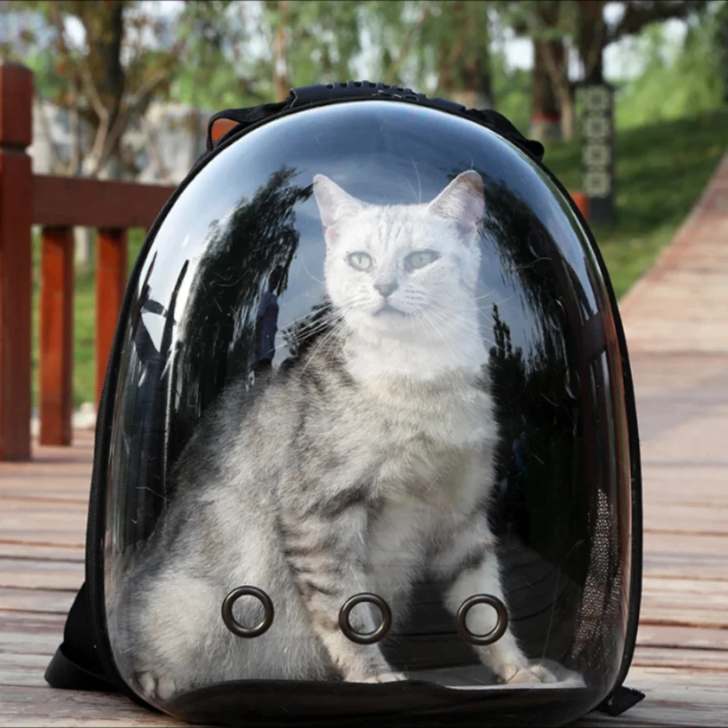 Manufacturer directly supplies cat bags, pet backpacks, portable and transparent space capsules, cat supplies, breathable backpa
Manufacturer directly supplies cat bags, pet backpacks, portable and transparent space capsules, cat supplies, breathable backpa