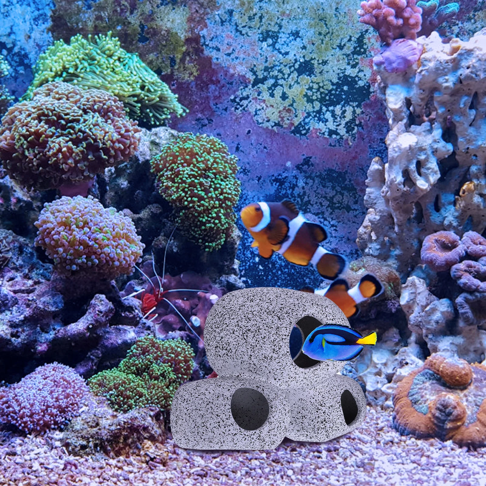 Fish Tank Decorations Aquarium Decorative Cave Shrimp Hideaway Vivid Fish Tank Ornament Landscape Decoration Aquarium Accessory
Fish Tank Decorations Aquarium Decorative Cave Shrimp Hideaway Vivid Fish Tank Ornament Landscape Decoration Aquarium Accessory